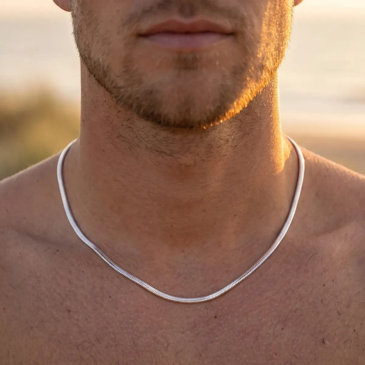 Sleek Silver Chain